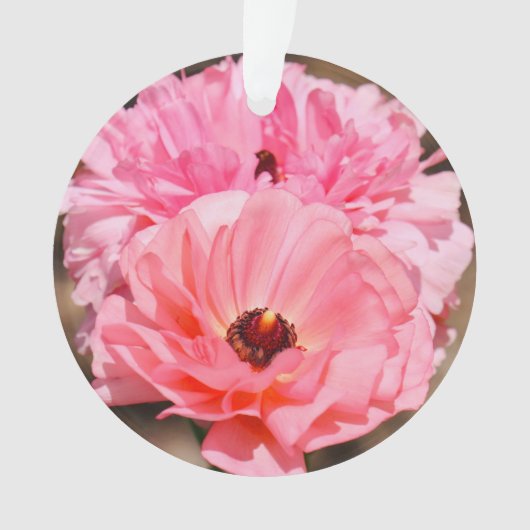 Presse en rose (devant)