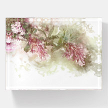 Aquarelle Lilas Violet Jasmin