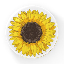 Papier tournesol