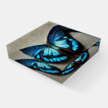 Papillon bleu Morpho