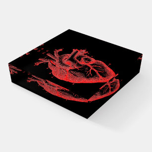 Presse-papiers Rouge et noir Anatomique Coeur Verre Paperweight  