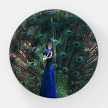Un joli cadeau Peacock en verre pour elle