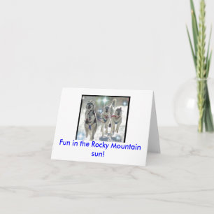 Pret in de Rotsachtige zon van de Berg! Kaart