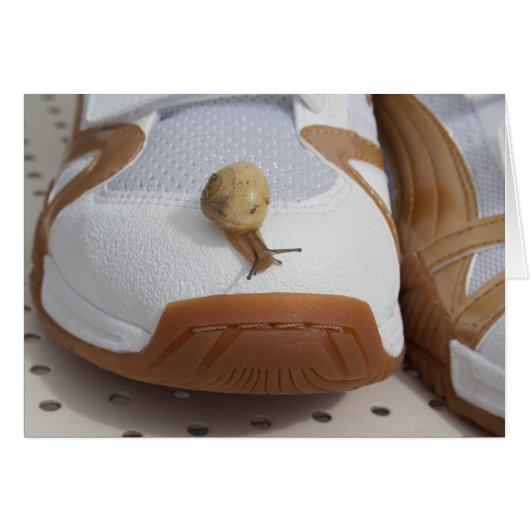 Prêt Pour La Course Des Escargots (Devant horizontal)