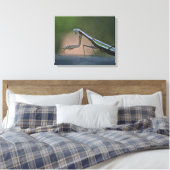 Prêter Mantis Toile Enveloppée (Insitu(Chambre))