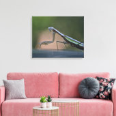 Prêter Mantis Toile Enveloppée (Insitu(Salon))