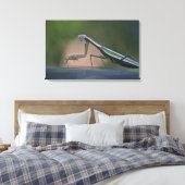 Prêter Mantis Toile Enveloppée (Insitu(Chambre))