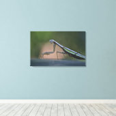 Prêter Mantis Toile Enveloppée (Insitu (Plancher de Bois))