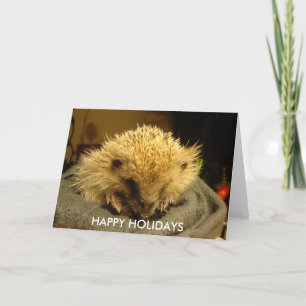 PRETTIG FEest "egel" Feestdagen Kaart