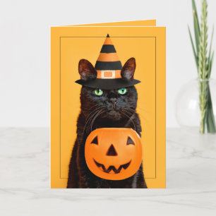 Prettig Halloween Grappige Zwarte Kat in Heksenhoe Feestdagen Kaart
