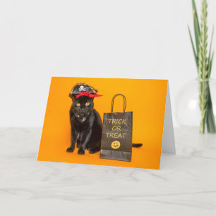 Prettig Halloween voor elke grappige piratenkat Feestdagen Kaart