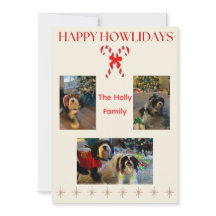 Prettig Hoeilijfe Kerststokken en Twinkel