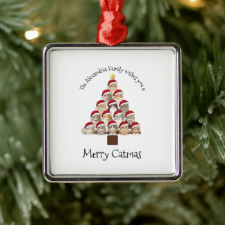 Prettig Katfeest Persoonlijke Familie Kerstvakanti Metalen Ornament