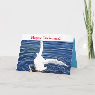 Prettig Kerst Zwaan Kaart