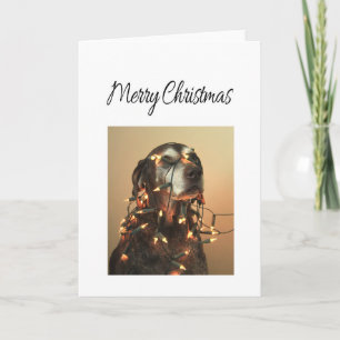 Prettig kerstfeest Duitse staande hond Feestdagen Kaart