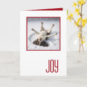 Prettig kerstfeest Engelse Springerspaniel Kaart (Gele Bloem)