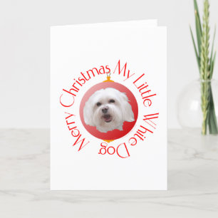 Prettig kerstfeest Havanese Feestdagen Kaart