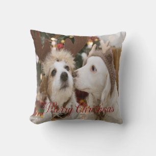 Prettig kerstfeest, honden verliefd kussen