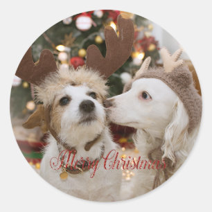 Prettig kerstfeest, honden verliefd ronde sticker