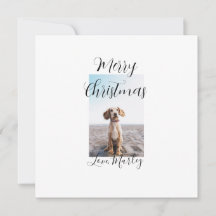 Prettig kerstfeest huisdier hond kat foto vakantie