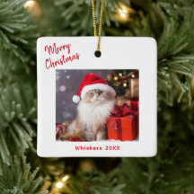 Prettig kerstfeest kat foto vakantie