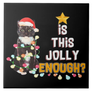 Prettig kerstfeest katten tegeltje