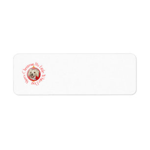 Prettig kerstfeest Kleine Witte Hond Poodle / Bich Etiket