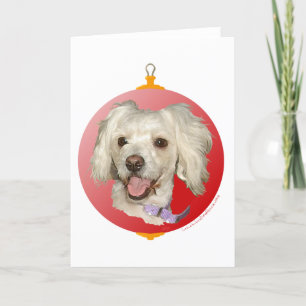 Prettig kerstfeest kleine witte hond Poodle / Bich Feestdagen Kaart