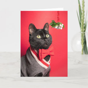 Prettig kerstfeest knappe kat met maretak humor feestdagen kaart