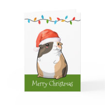 Prettig kerstfeest Lieve Cavia Kerstman