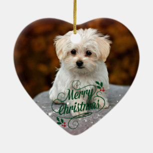 Prettig kerstfeest, Maltezer puppy, schattig en kn Keramisch Ornament