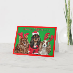 Prettig kerstfeest met drie King Charles Spaniels Feestdagen Kaart