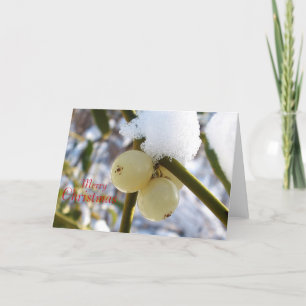 Prettig kerstfeest(Mistletoe bessen) Feestdagen Kaart