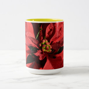 Prettig kerstfeest Rode Krul Poinsettia Tweekleurige Koffiemok