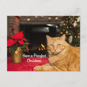 Prettig kerstfeest, schattige oranje kat feestdagenkaart