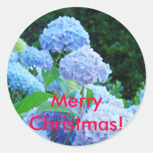 Prettig kerstfeest! stickers Blauwe Lavendel Hydra