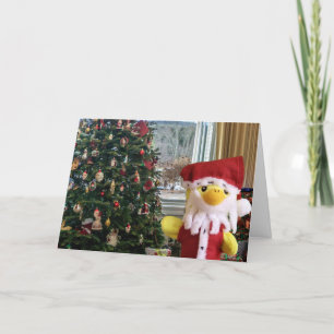 Prettig kerstfeest van Danny Duck Aankondiging