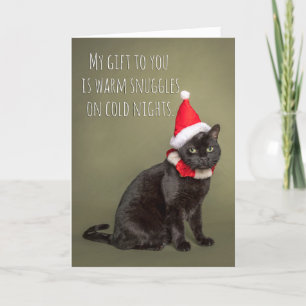 Prettig kerstfeest van de kat humor kerstkaart feestdagen kaart