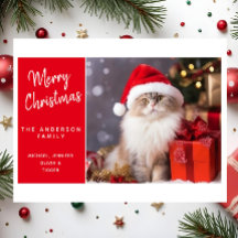 Prettig kerstfeest van de kat in een kerstmuts