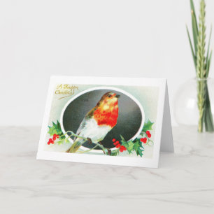 Prettig kerstfeest van een roodborstje feestdagen kaart