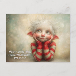 Prettig kerstfeest van je Noorderpool Elf Schatt Feestdagenkaart