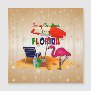 Prettig kerstfeest vanuit Florida