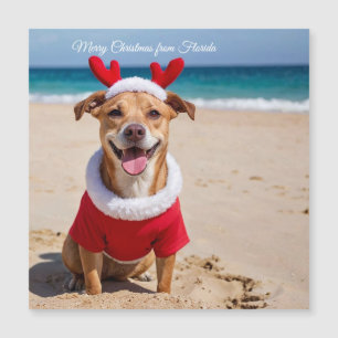 Prettig kerstfeest vanuit Florida Beach