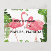 Prettig kerstfeest vanuit Naples, Florida Briefkaart (Voorkant)