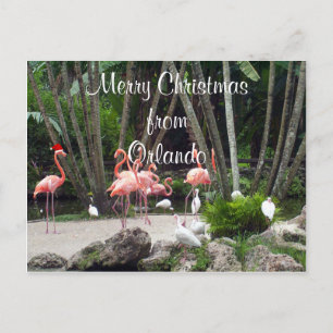 Prettig kerstfeest vanuit Orlando Feestdagenkaart