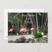 Prettig Kerstfeest vanuit Orlando - Roze Flamingo' Feestdagenkaart (Voorkant / Achterkant)