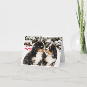 PRETTIG KERSTFEEST VOOR EEN BIJZONDERE "TWEELING" KAART