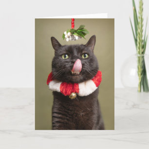 Prettig kerstfeest voor elke kat onder de mistleto feestdagen kaart