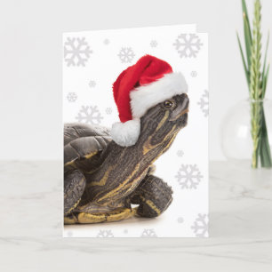 Prettig kerstfeest voor elke schildpad in kerstmut feestdagen kaart
