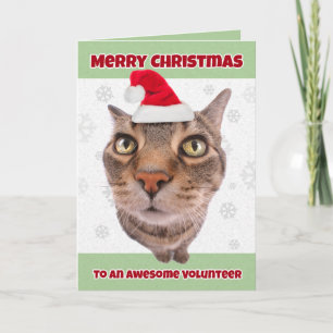 Prettig kerstfeest vrijwilliger kat in kerstmuts h feestdagen kaart